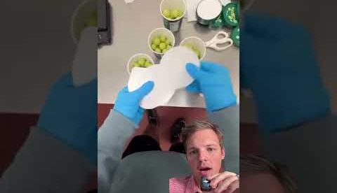 The Most Overlooked Business Ideas of 2025